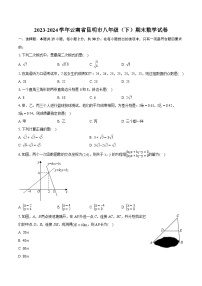 2023-2024学年云南省昆明市八年级（下）期末数学试卷（含详细答案解析）