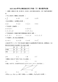 2023-2024学年云南省迪庆州八年级（下）期末数学试卷（含详细答案解析）