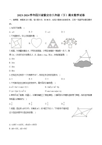 2023-2024学年四川省雅安市八年级（下）期末数学试卷（含详细答案解析）