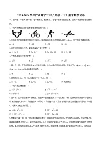 2023-2024学年广西南宁三中八年级（下）期末数学试卷（含详细答案解析）