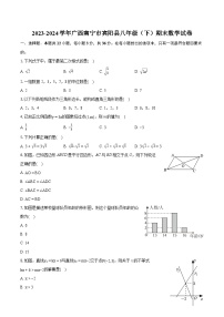 2023-2024学年广西南宁市宾阳县八年级（下）期末数学试卷（含详细答案解析）
