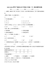 2023-2024学年广西崇左市宁明县八年级（下）期末数学试卷（含详细答案解析）