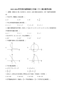 2023-2024学年贵州省黔南州八年级（下）期末数学试卷（含详细答案解析）