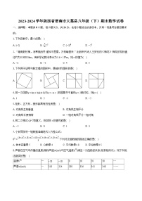 2023-2024学年陕西省渭南市大荔县八年级（下）期末数学试卷（含详细答案解析）