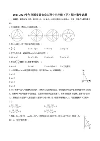 2023-2024学年陕西省西安交大附中八年级（下）期末数学试卷（含详细答案解析）