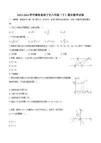 2023-2024学年青海省西宁市八年级（下）期末数学试卷（含详细答案解析）