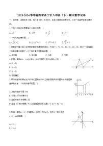 2023-2024学年青海省西宁市八年级（下）期末数学试卷（含详细答案解析）