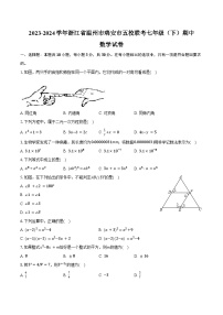 2023-2024学年浙江省温州市瑞安市五校联考七年级（下）期中数学试卷（含答案）