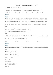 湖北省武汉市2023-2024学年 九年级上学期期中数学试题（解析版）