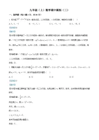 湖北省武汉市2023-2024学年 九年级上学期期中数学试题（解析版）