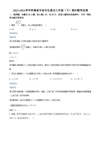 河南省许昌市长葛市2023-2024学年八年级下学期期末数学试题（解析版）