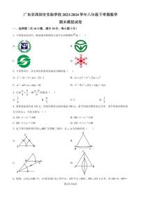 广东省深圳市实验学校2023-2024学年八年级下学期期末数学模拟试题