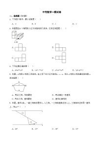 吉林省松原市2024年中考数学一模试卷附答案