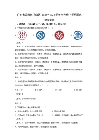 [数学][期末]广东省深圳市坪山区2023-2024学年七年级下学期期末试题(解析版)