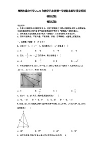 郴州市重点中学2023年数学八年级第一学期期末教学质量检测模拟试题【含解析】