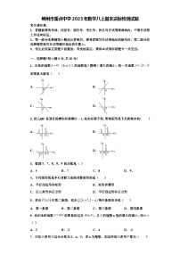 郴州市重点中学2023年数学八上期末达标检测试题【含解析】