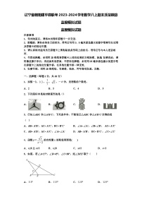 辽宁省朝阳建平县联考2023-2024学年数学八上期末质量跟踪监视模拟试题【含解析】