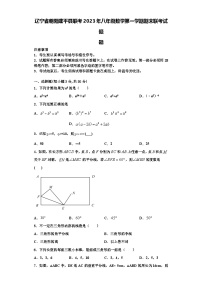 辽宁省朝阳建平县联考2023年八年级数学第一学期期末联考试题【含解析】