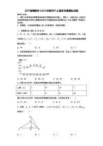 辽宁省朝阳市2023年数学八上期末经典模拟试题【含解析】