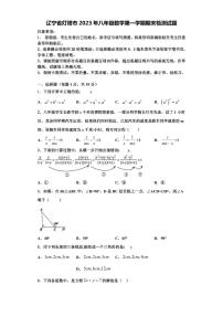 辽宁省灯塔市2023年八年级数学第一学期期末检测试题【含解析】