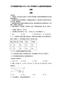 辽宁省朝阳市名校2023-2024学年数学八上期末教学质量检测试题【含解析】