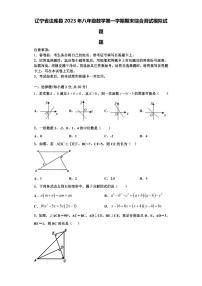 辽宁省法库县2023年八年级数学第一学期期末综合测试模拟试题【含解析】