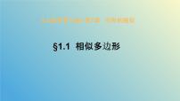 青岛版九年级上册1.1 相似多边形完美版教学课件ppt