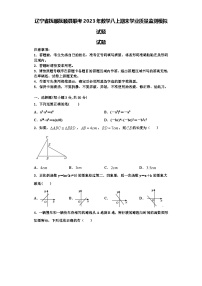 辽宁省抚顺抚顺县联考2023年数学八上期末学业质量监测模拟试题【含解析】