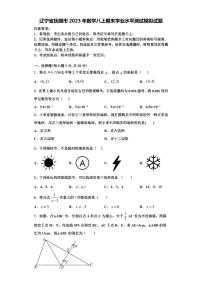 辽宁省抚顺市2023年数学八上期末学业水平测试模拟试题【含解析】