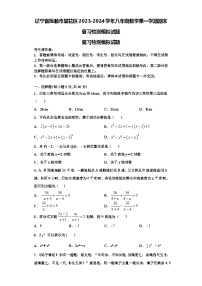 辽宁省抚顺市望花区2023-2024学年八年级数学第一学期期末复习检测模拟试题【含解析】