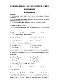 辽宁省抚顺市望花区2023-2024学年八年级数学第一学期期末复习检测模拟试题【含解析】