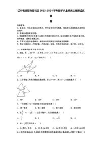 辽宁省抚顺市望花区2023-2024学年数学八上期末达标测试试题【含解析】