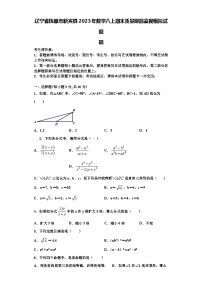 辽宁省抚顺市新宾县2023年数学八上期末质量跟踪监视模拟试题【含解析】