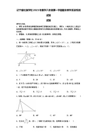 辽宁省红旗学校2023年数学八年级第一学期期末教学质量检测试题【含解析】