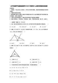 辽宁省葫芦岛建昌县联考2023年数学八上期末质量检测试题【含解析】