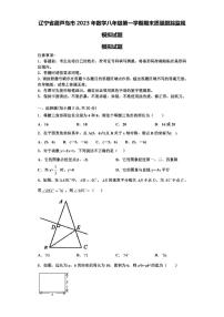 辽宁省葫芦岛市2023年数学八年级第一学期期末质量跟踪监视模拟试题【含解析】