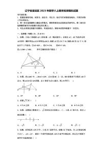 辽宁省皇姑区2023年数学八上期末检测模拟试题【含解析】