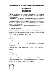 辽宁省锦州市2023-2024学年八年级数学第一学期期末质量跟踪监视模拟试题【含解析】