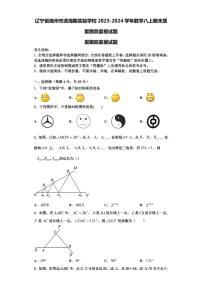 辽宁省锦州市滨海期实验学校2023-2024学年数学八上期末质量跟踪监视试题【含解析】