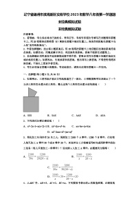 辽宁省锦州市滨海新区实验学校2023年数学八年级第一学期期末经典模拟试题【含解析】