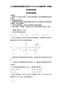 辽宁省锦州市新海新区实验学校2023年八年级数学第一学期期末达标检测试题【含解析】