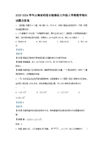 2023-2024学年云南省昭通市镇雄县九年级上学期数学期末试题及答案