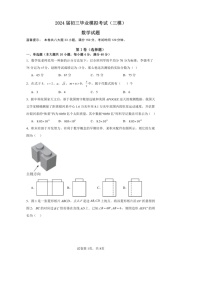 2024年安徽省安庆市石化第一中学九年级 毕业模拟考试(三模)数学试卷