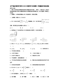 辽宁省辽阳市灯塔市2023年数学八年级第一学期期末考试试题【含解析】