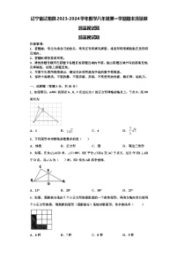 辽宁省辽阳县2023-2024学年数学八年级第一学期期末质量跟踪监视试题【含解析】