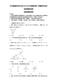 辽宁省盘锦市双子台区2023年八年级数学第一学期期末学业质量监测模拟试题【含解析】