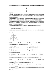 辽宁省沈阳市2023-2024学年数学八年级第一学期期末监测试题【含解析】