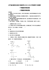 辽宁省沈阳市东北育才双语学校2023-2024学年数学八年级第一学期期末预测试题【含解析】