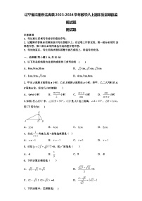 辽宁省沈阳市法库县2023-2024学年数学八上期末质量跟踪监视试题【含解析】