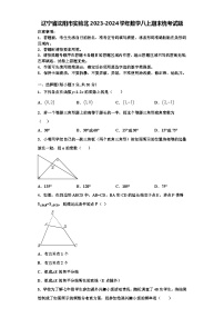 辽宁省沈阳市实验北2023-2024学年数学八上期末统考试题【含解析】